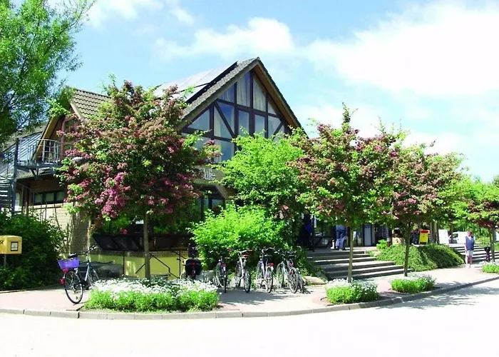 Seemoewe F183 Comfortable * フェーマルン